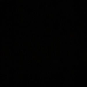 Meet your Posher, Lika